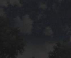 7892629 B