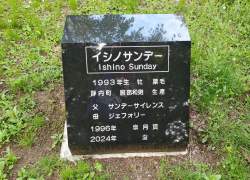 3436807 B