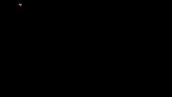 2541224 B