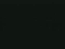 6535004 B