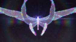 248018 B