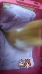 1409953 B
