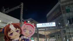 2229126 B