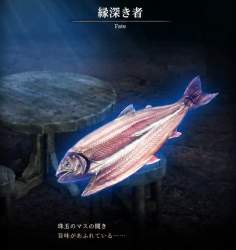 177896 B