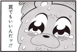 40666 B