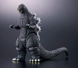 67685 B