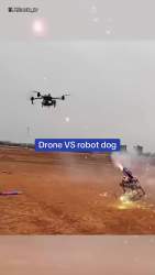 607832 B