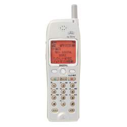 55590 B