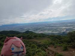 4134717 B