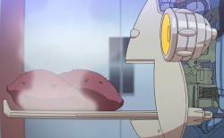 49991 B