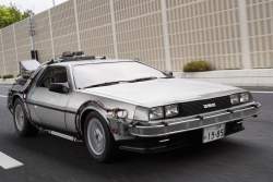 202255 B
