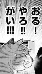 75687 B