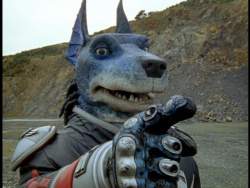 51055 B