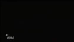 7263331 B