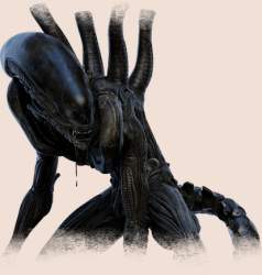 252903 B
