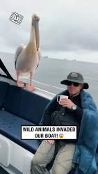 8038551 B