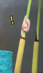 1053731 B