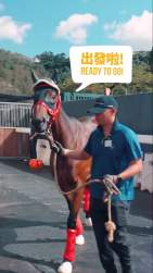 1332984 B