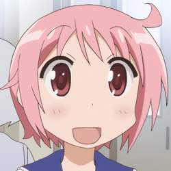 40493 B
