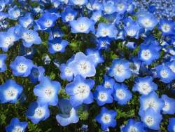 72580 B
