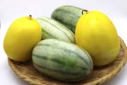 6098 B