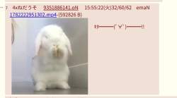 44588 B