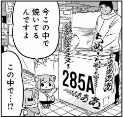 204795 B