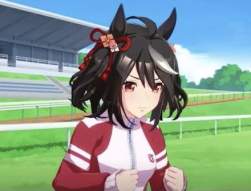 50556 B