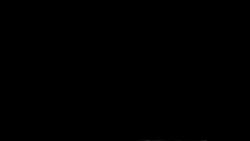 5698394 B
