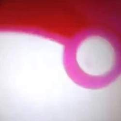 619088 B
