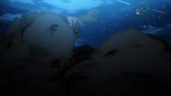 113496 B