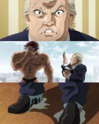 44046 B