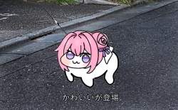 232624 B