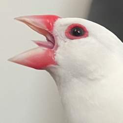 211049 B
