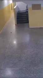 4358658 B
