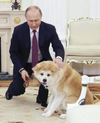 25566 B