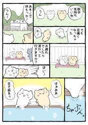 1504797 B