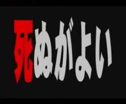 7999254 B