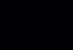 3256288 B