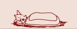 9007 B