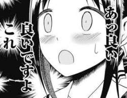 13533 B