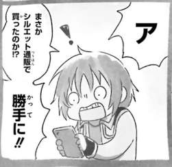 42333 B