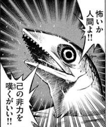 72191 B