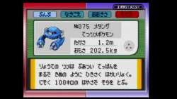 51556 B