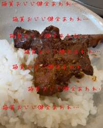 4905661 B