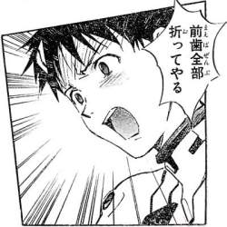 40554 B