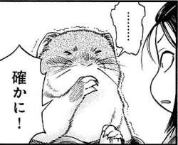 39873 B