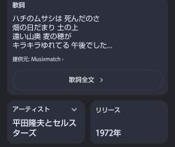 80667 B
