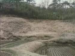 8184712 B