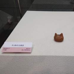 1000251 B